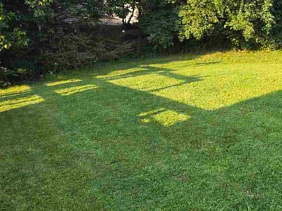 Lawn Care service in Florence, 41042