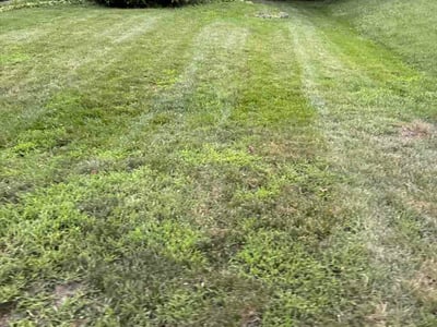 Lawn Care service in Country Club Hills, 60478