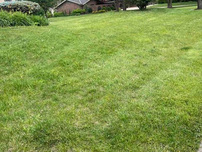 Lawn Care service in Country Club Hills, 60478