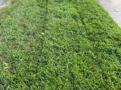 Lawn Care service in South Holland, 60473