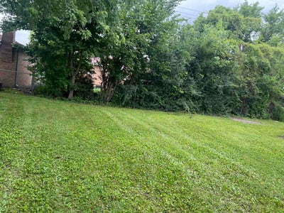 Lawn Care service in South Holland, 60473