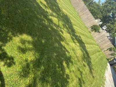 Lawn Care service in South Holland, 60473