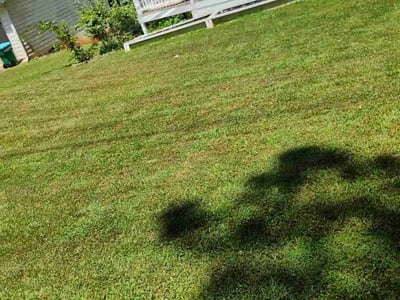 Lawn Care service in Malden, 02148