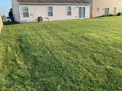Lawn Care service in Pennsauken, 08110