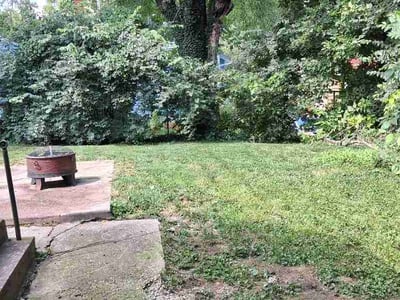 Lawn Care service in Harrison, 45030