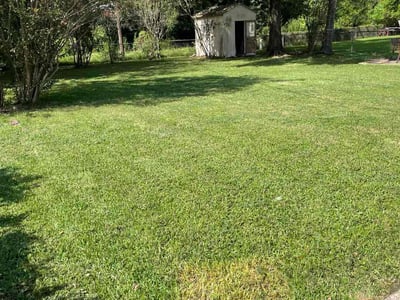 Lawn Care service in Sudbury, 01776