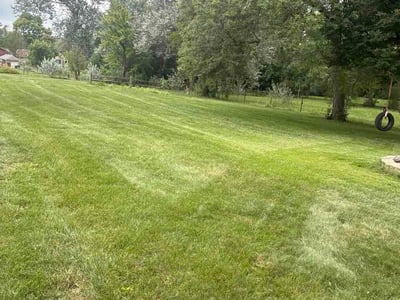 Lawn Care service in Lombard, 60148