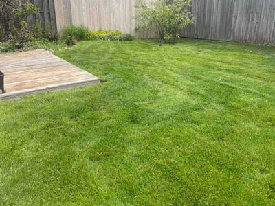 Lawn Care service in Lombard, 60148