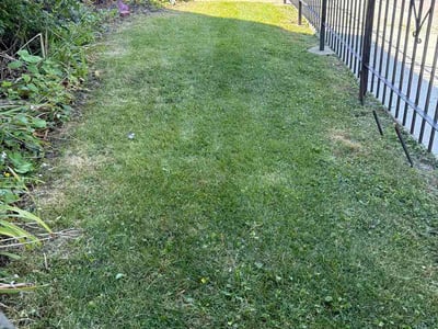 Lawn Care service in Lombard, 60148