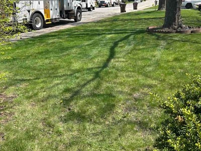 Lawn Care service in Park Forest, 60466