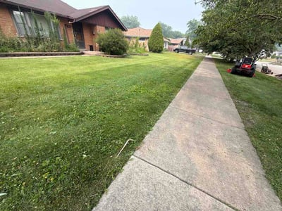 Lawn Care service in Oak Lawn, 60453