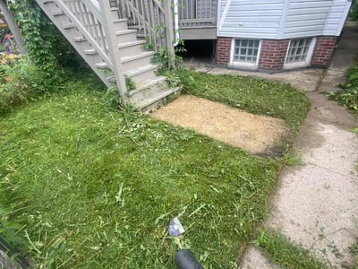 Lawn Care service in Park Forest, 60466