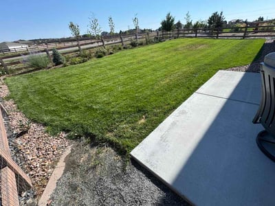 Lawn Care service in Fountain, 80817