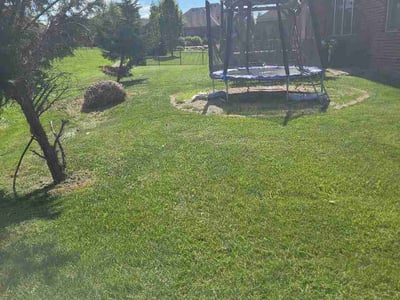 Lawn Care service in Camden, 08104
