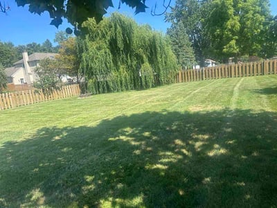 Lawn Care service in North Olmsted, 44070