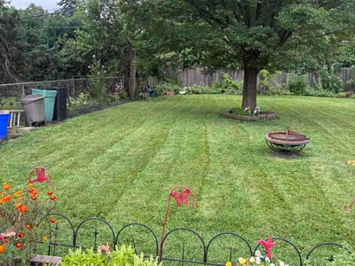 Lawn Care service in Roselle, 60172