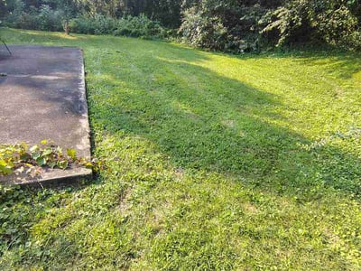 Lawn Care service in Tuscon, 85705