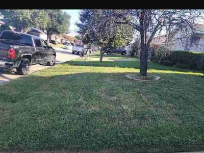 Lawn Care service in Tuscon, 85705
