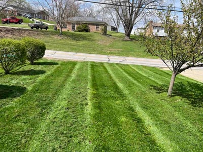 Lawn Care service in Covington, 41011