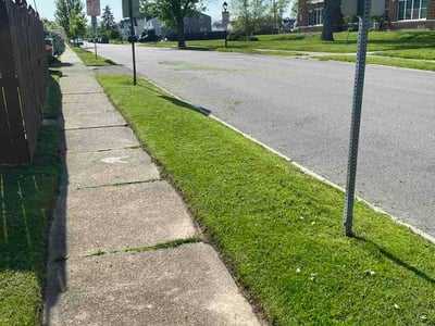 Lawn Care service in Lockport, 14094