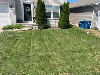 Lawn Care service in Lorain, 44052