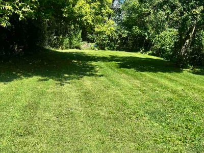 Lawn Care service in Lorain, 44052