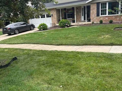 Lawn Care service in Downers Grove, 60515