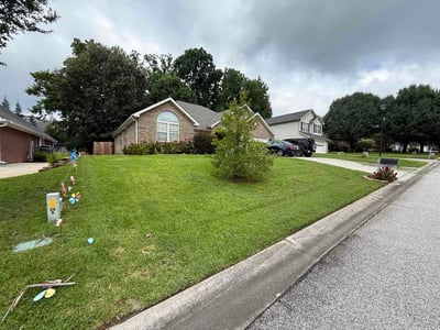 Lawn Care service in Fort Mill, 29715