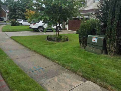 Lawn Care service in Fort Mill, 29715