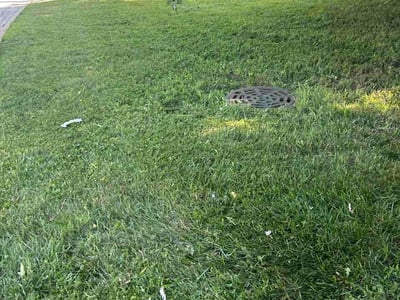 Lawn Care service in Lansing, 60438