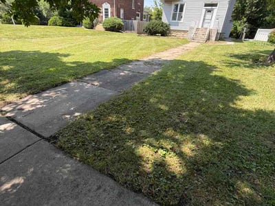 Lawn Care service in Carol Stream, 60188
