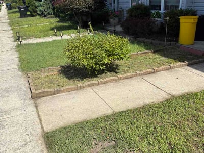 Lawn Care service in Berlin, 08009