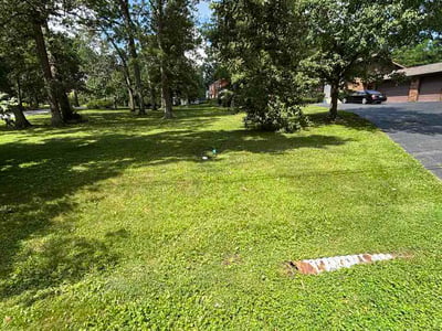 Lawn Care service in Elk Grove Village, 60007