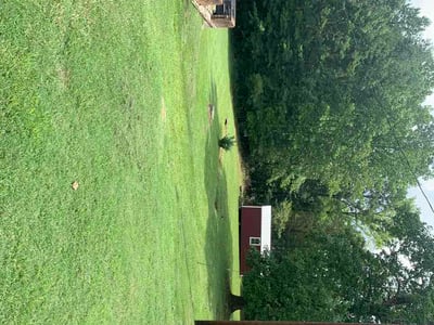 Lawn Care service in Clover, 29710