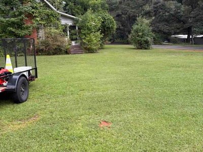Lawn Care service in Somerville, 02143