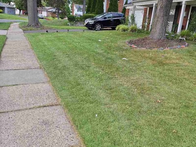 Lawn Care service in Cherry Hill, 08002