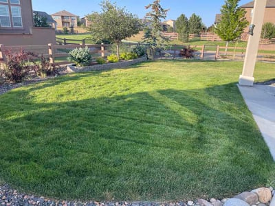 Lawn Care service in Woodland Park, 80863