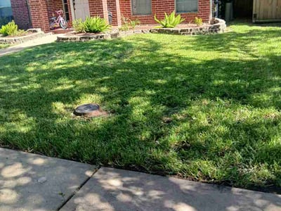 Lawn Care service in Medford, 02155