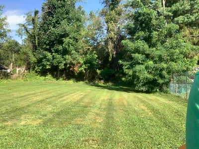 Lawn Care service in Medford, 08055