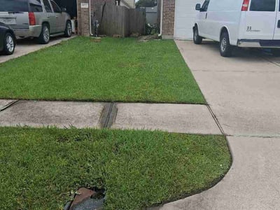 Lawn Care service in Natick, 01760