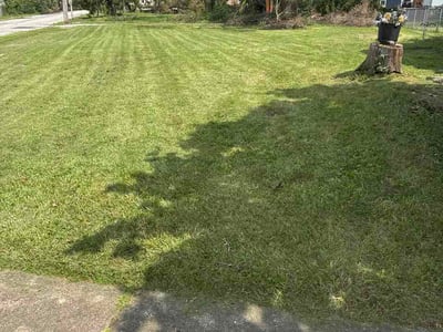 Lawn Care service in Chicago Heights, 60411