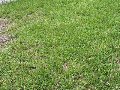Lawn Care service in Smithville, 78957