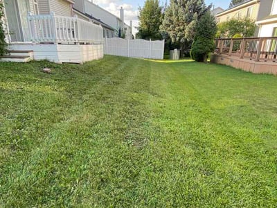 Lawn Care service in Crest Hill, 60403