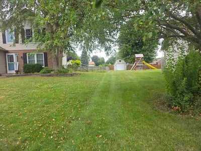 Lawn Care service in Crest Hill, 60403
