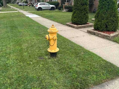 Lawn Care service in Dolton, 60419
