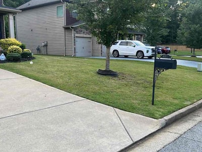 Lawn Care service in Lynn, 01902