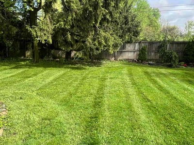 Lawn Care service in Dublin, 43017