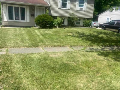 Lawn Care service in Bartlett, 60103