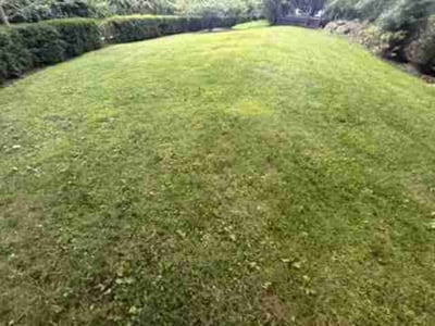 Lawn Care service in Greenwich, 06830