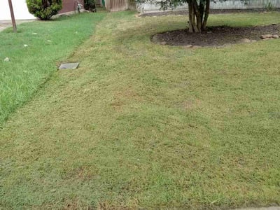 Lawn Care service in West Hills, 91307